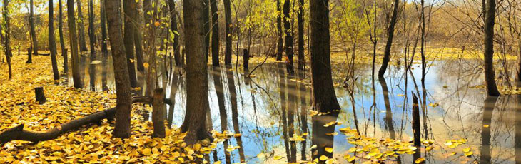 Широкоформатная печать